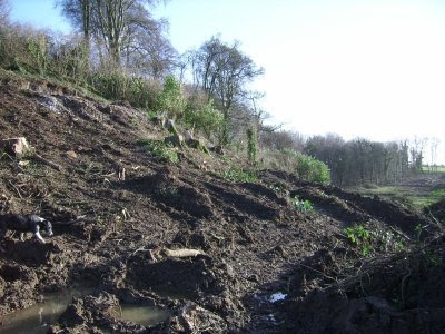 Campaign To Save Tara